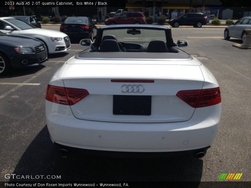 Ibis White / Black 2013 Audi A5 2.0T quattro Cabriolet