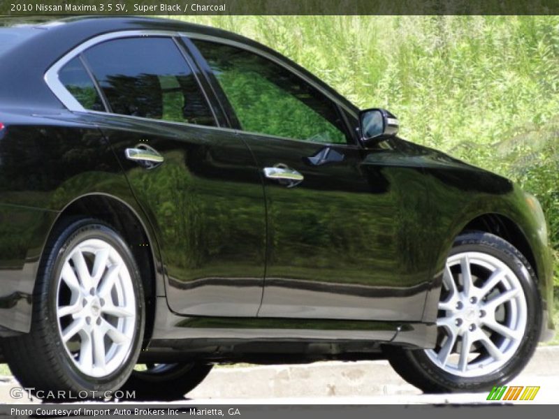 Super Black / Charcoal 2010 Nissan Maxima 3.5 SV