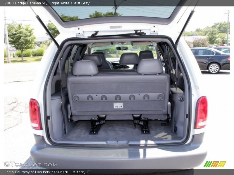 Bright White / Mist Grey 2000 Dodge Caravan SE