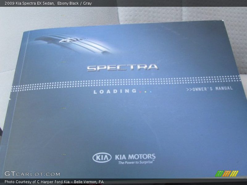Ebony Black / Gray 2009 Kia Spectra EX Sedan