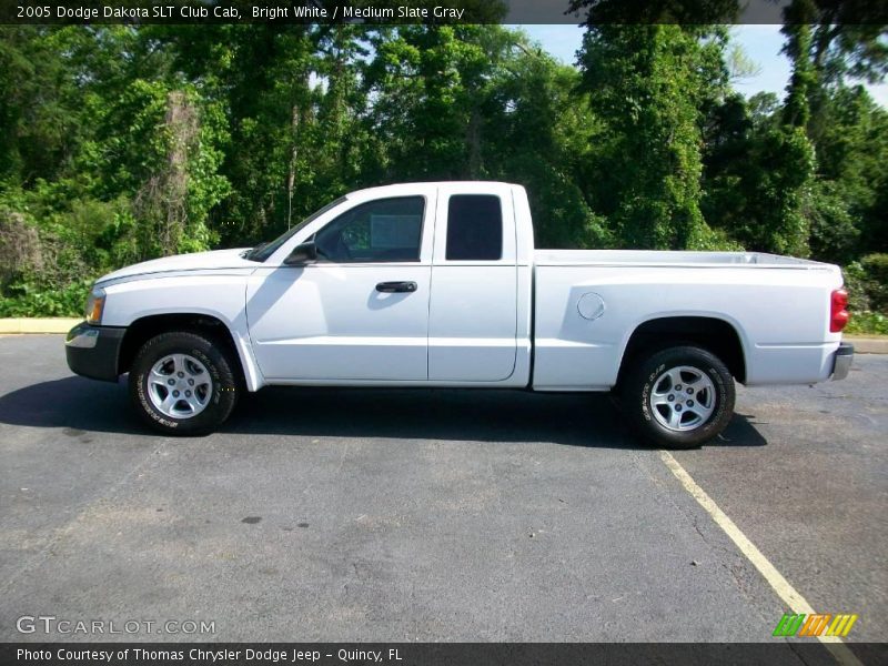 Bright White / Medium Slate Gray 2005 Dodge Dakota SLT Club Cab