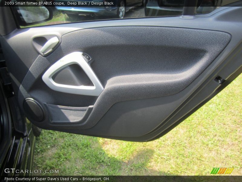 Door Panel of 2009 fortwo BRABUS coupe