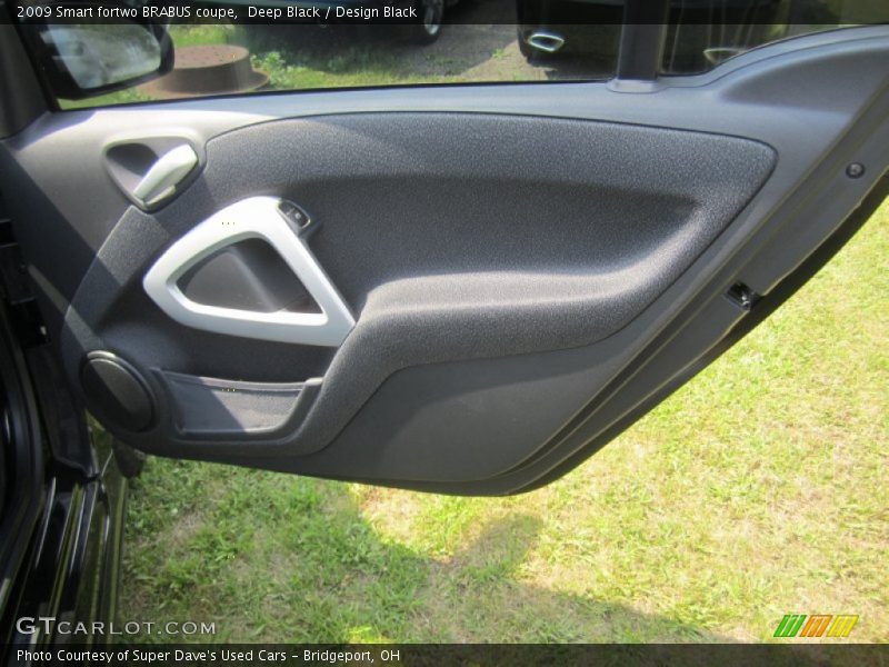 Door Panel of 2009 fortwo BRABUS coupe