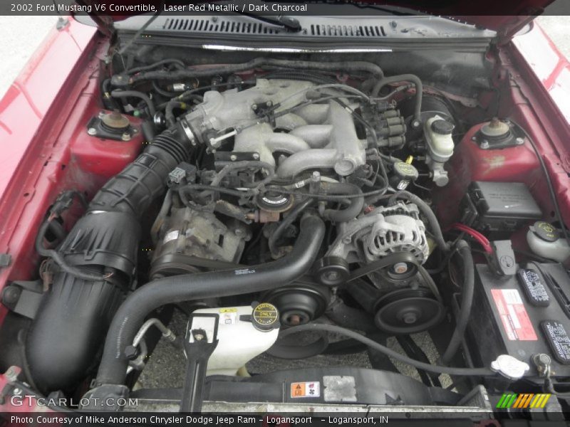 Laser Red Metallic / Dark Charcoal 2002 Ford Mustang V6 Convertible