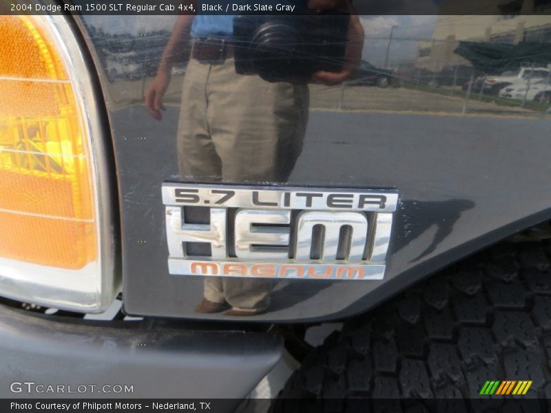 Black / Dark Slate Gray 2004 Dodge Ram 1500 SLT Regular Cab 4x4