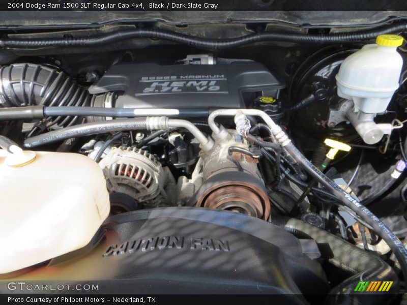 Black / Dark Slate Gray 2004 Dodge Ram 1500 SLT Regular Cab 4x4