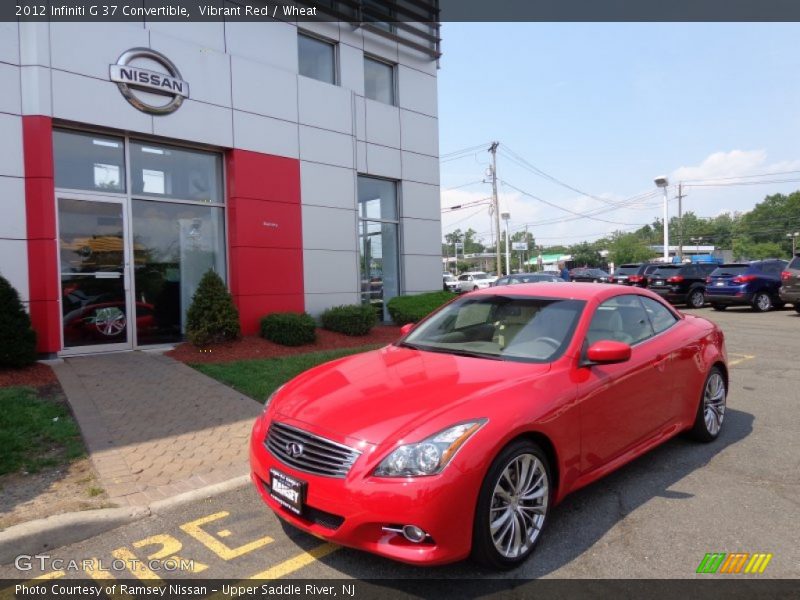 Vibrant Red / Wheat 2012 Infiniti G 37 Convertible