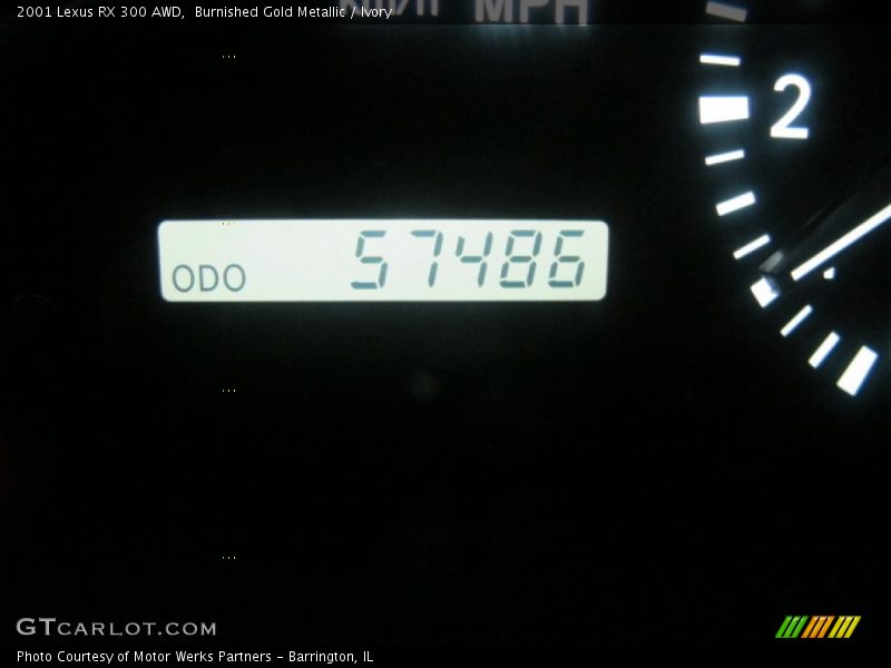 Burnished Gold Metallic / Ivory 2001 Lexus RX 300 AWD