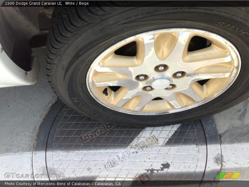 White / Beige 1996 Dodge Grand Caravan LE