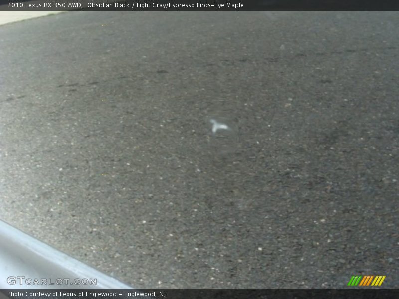 Obsidian Black / Light Gray/Espresso Birds-Eye Maple 2010 Lexus RX 350 AWD