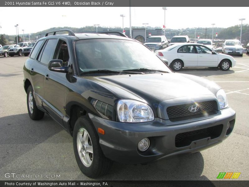 Obsidian Black / Gray 2001 Hyundai Santa Fe GLS V6 4WD