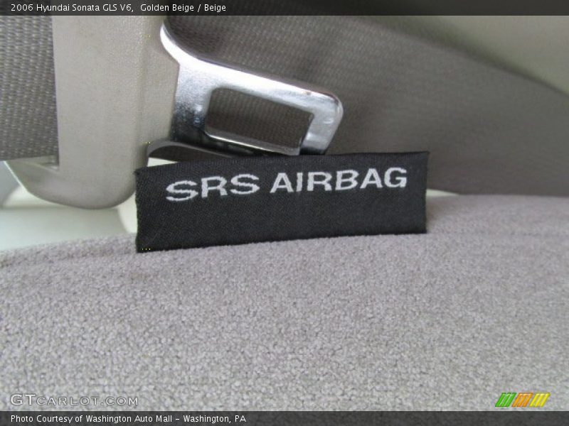 Golden Beige / Beige 2006 Hyundai Sonata GLS V6