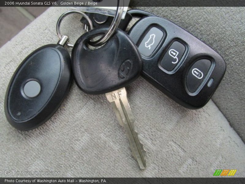 Golden Beige / Beige 2006 Hyundai Sonata GLS V6