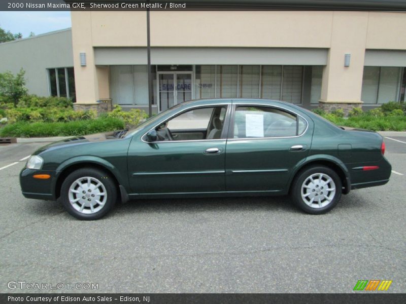 Sherwood Green Metallic / Blond 2000 Nissan Maxima GXE