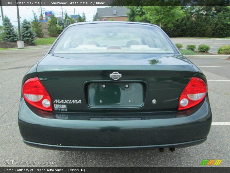 Sherwood Green Metallic / Blond 2000 Nissan Maxima GXE