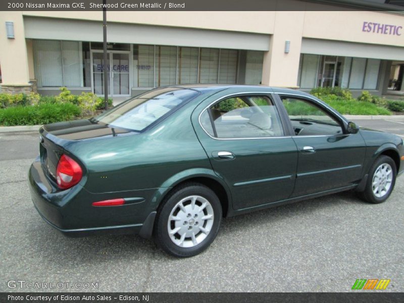 Sherwood Green Metallic / Blond 2000 Nissan Maxima GXE