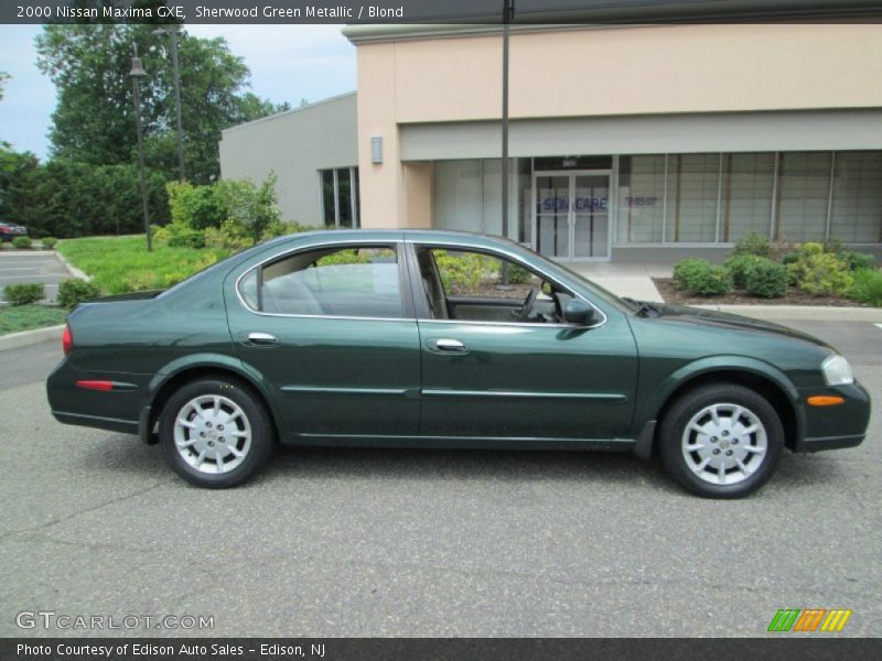  2000 Maxima GXE Sherwood Green Metallic