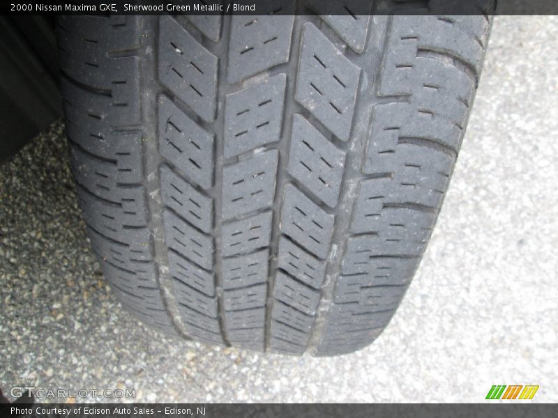 Sherwood Green Metallic / Blond 2000 Nissan Maxima GXE