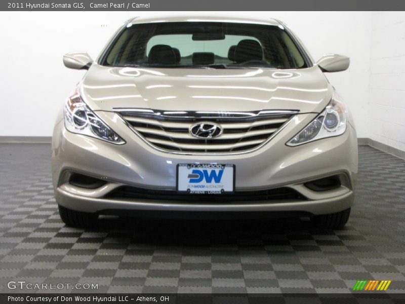 Camel Pearl / Camel 2011 Hyundai Sonata GLS