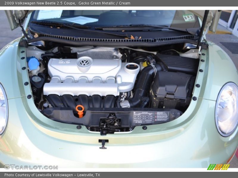 Gecko Green Metallic / Cream 2009 Volkswagen New Beetle 2.5 Coupe