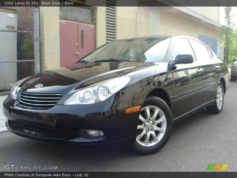 Black Onyx / Black 2002 Lexus ES 300