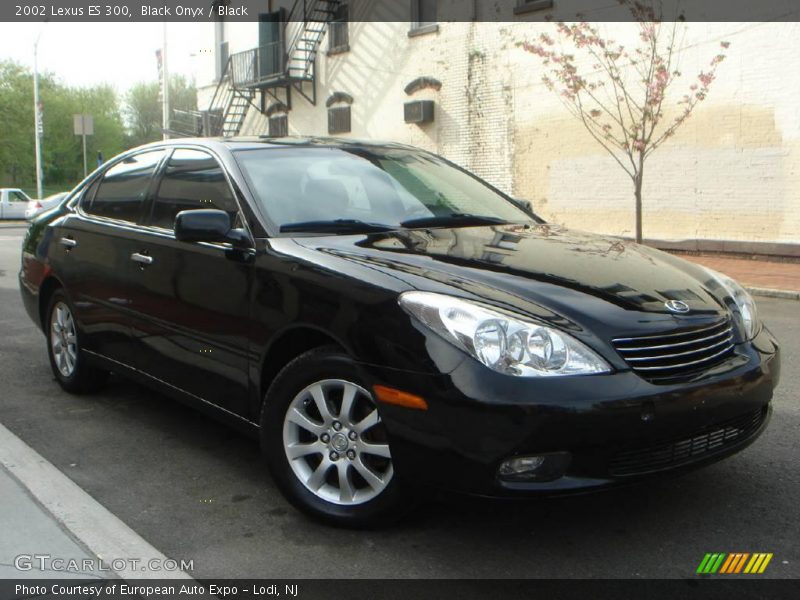 Black Onyx / Black 2002 Lexus ES 300