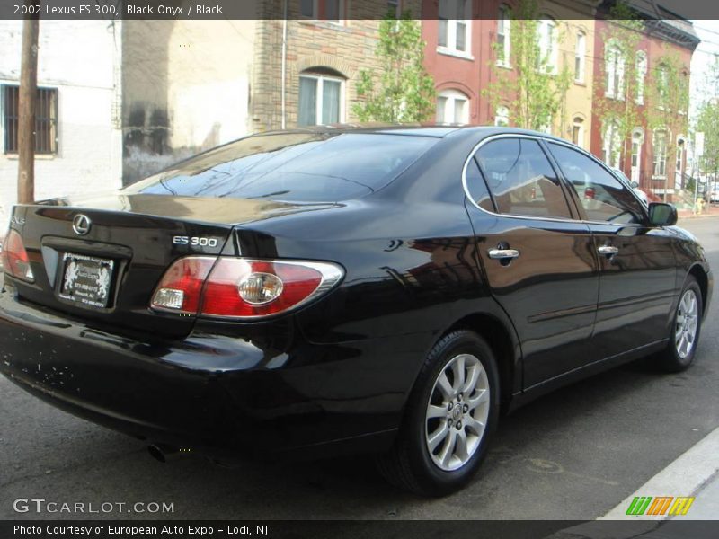 Black Onyx / Black 2002 Lexus ES 300