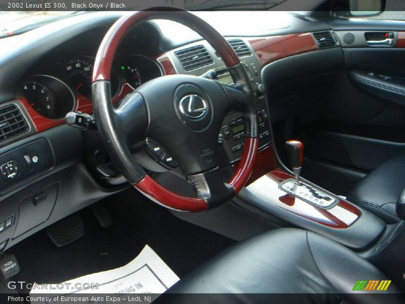 Black Onyx / Black 2002 Lexus ES 300
