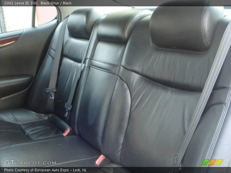 Black Onyx / Black 2002 Lexus ES 300