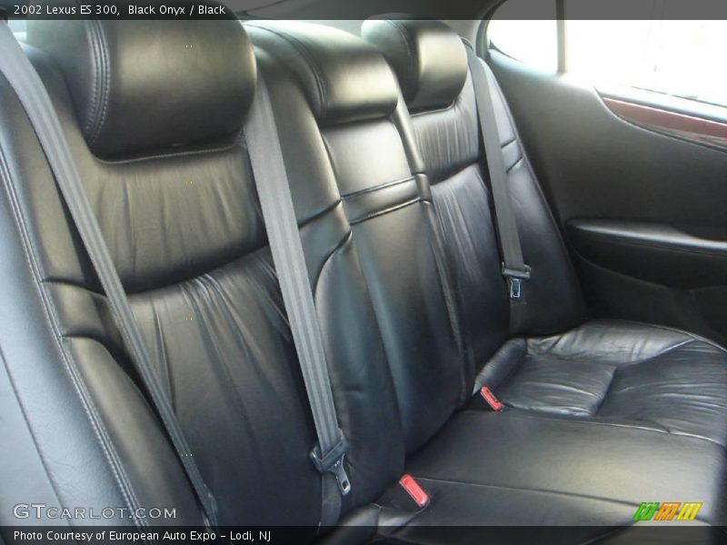 Black Onyx / Black 2002 Lexus ES 300