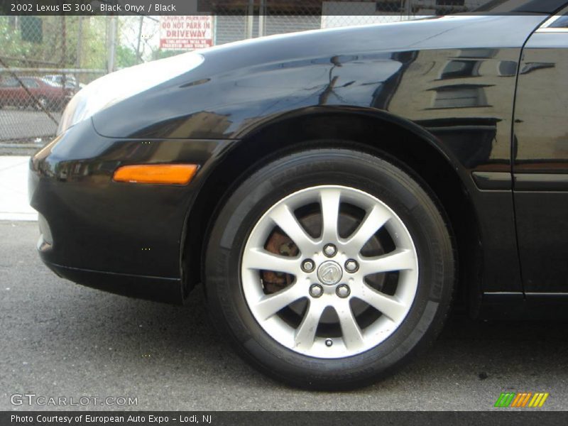 Black Onyx / Black 2002 Lexus ES 300