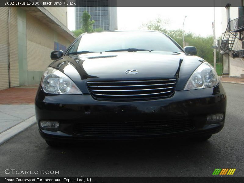 Black Onyx / Black 2002 Lexus ES 300