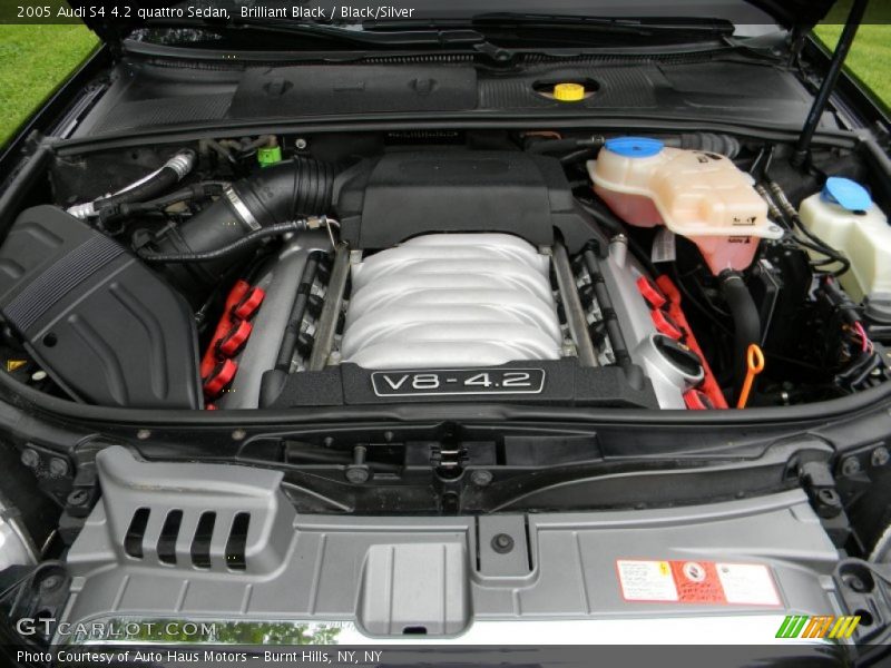  2005 S4 4.2 quattro Sedan Engine - 4.2 Liter DOHC 40-Valve V8