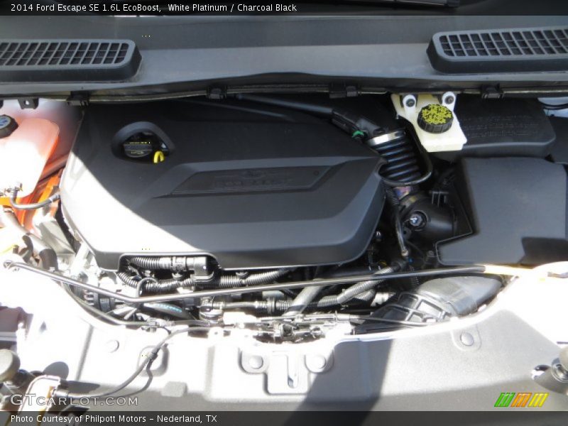 White Platinum / Charcoal Black 2014 Ford Escape SE 1.6L EcoBoost