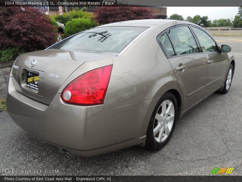 Champagne Mist Metallic / Black 2004 Nissan Maxima 3.5 SL