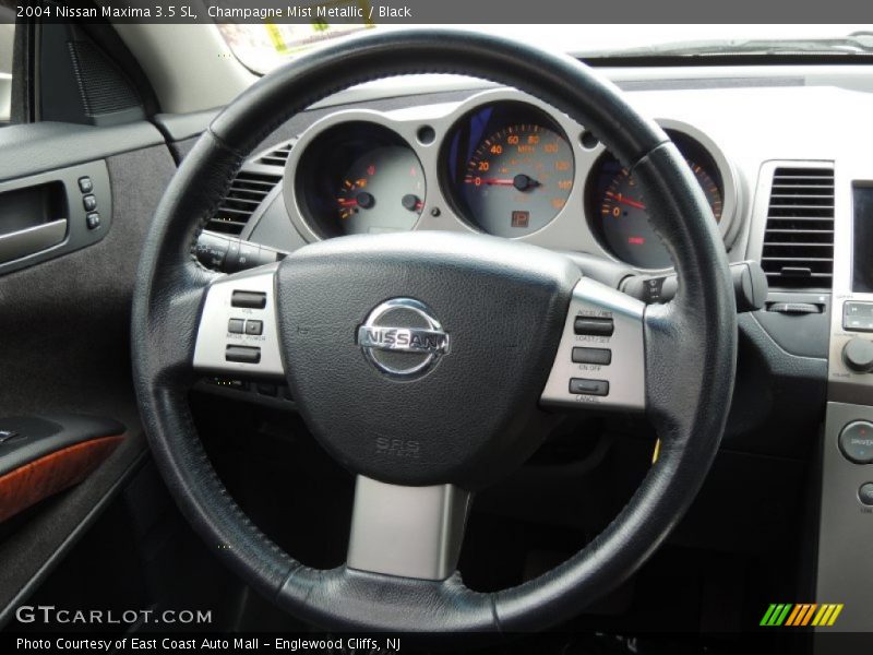 Champagne Mist Metallic / Black 2004 Nissan Maxima 3.5 SL