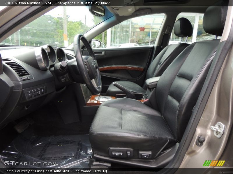 Champagne Mist Metallic / Black 2004 Nissan Maxima 3.5 SL