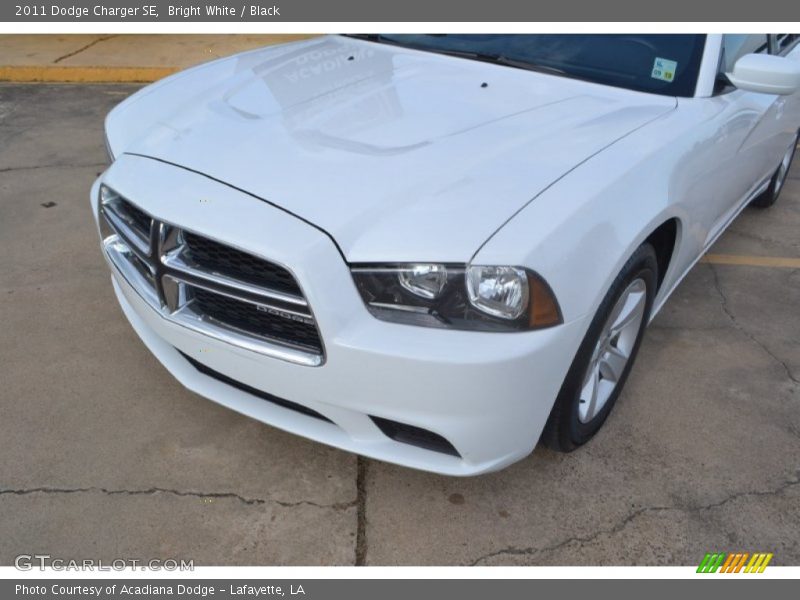 Bright White / Black 2011 Dodge Charger SE