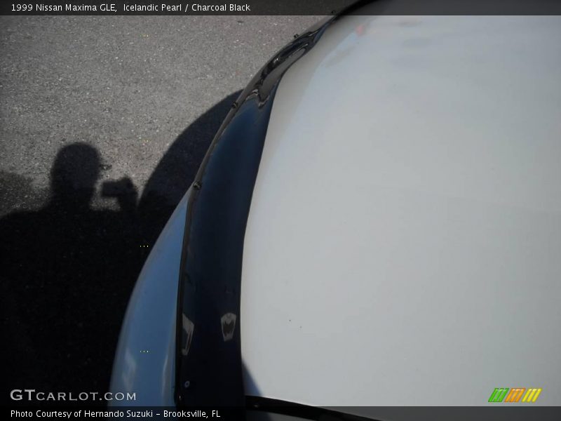 Icelandic Pearl / Charcoal Black 1999 Nissan Maxima GLE