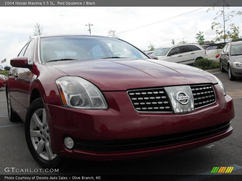 Red Opulence / Black 2004 Nissan Maxima 3.5 SL