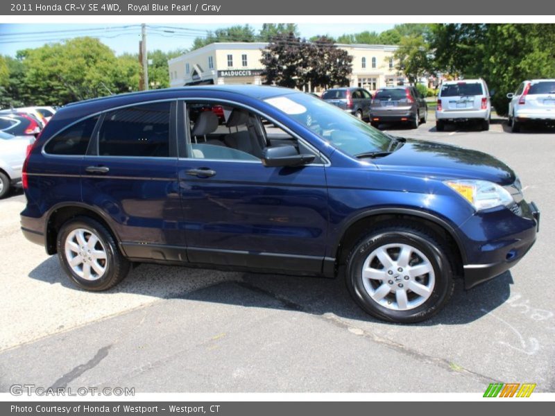 Royal Blue Pearl / Gray 2011 Honda CR-V SE 4WD