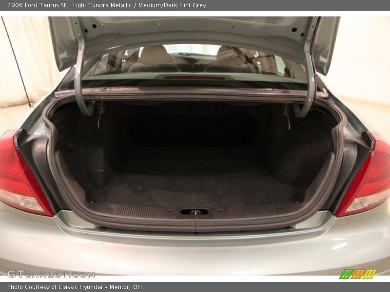 Light Tundra Metallic / Medium/Dark Flint Grey 2006 Ford Taurus SE