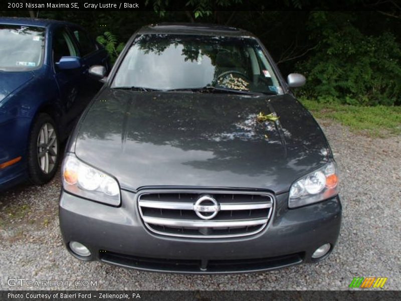 Gray Lustre / Black 2003 Nissan Maxima SE