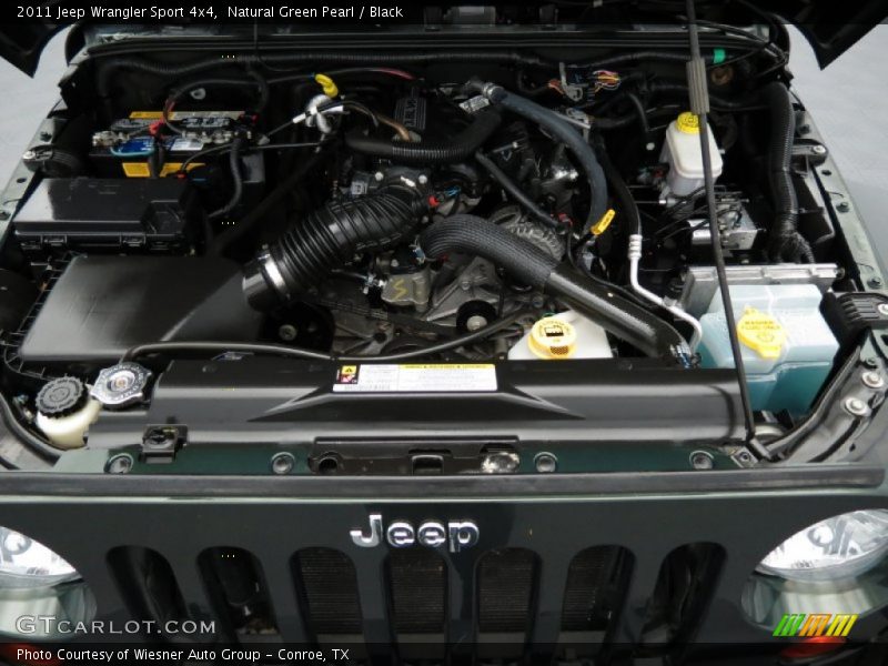 Natural Green Pearl / Black 2011 Jeep Wrangler Sport 4x4