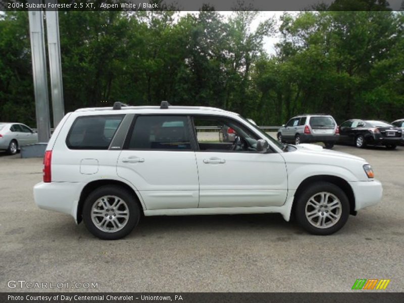 Aspen White / Black 2004 Subaru Forester 2.5 XT