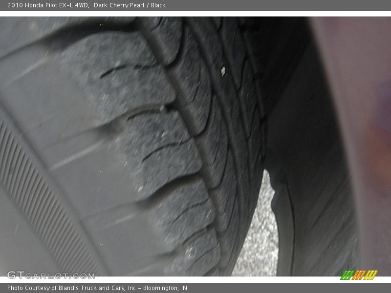 Dark Cherry Pearl / Black 2010 Honda Pilot EX-L 4WD