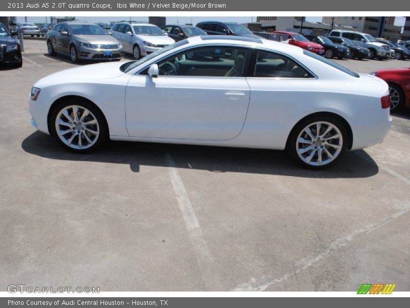  2013 A5 2.0T quattro Coupe Ibis White