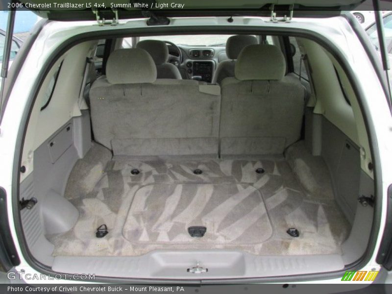 Summit White / Light Gray 2006 Chevrolet TrailBlazer LS 4x4