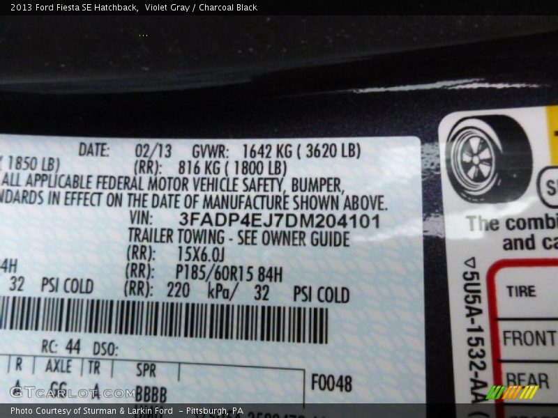 Violet Gray / Charcoal Black 2013 Ford Fiesta SE Hatchback