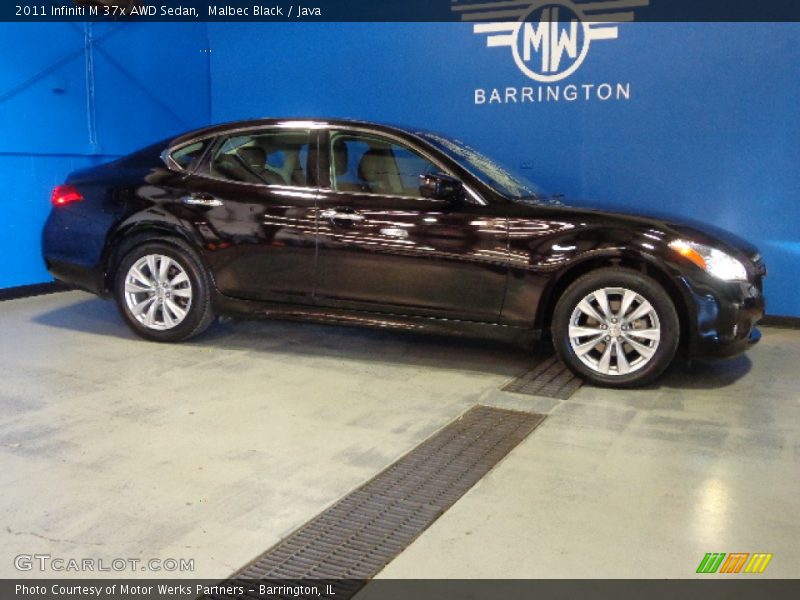 Malbec Black / Java 2011 Infiniti M 37x AWD Sedan